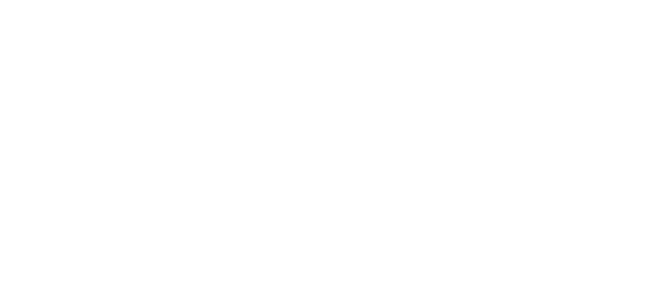 Cooperativa Sociale Cultura e Valori